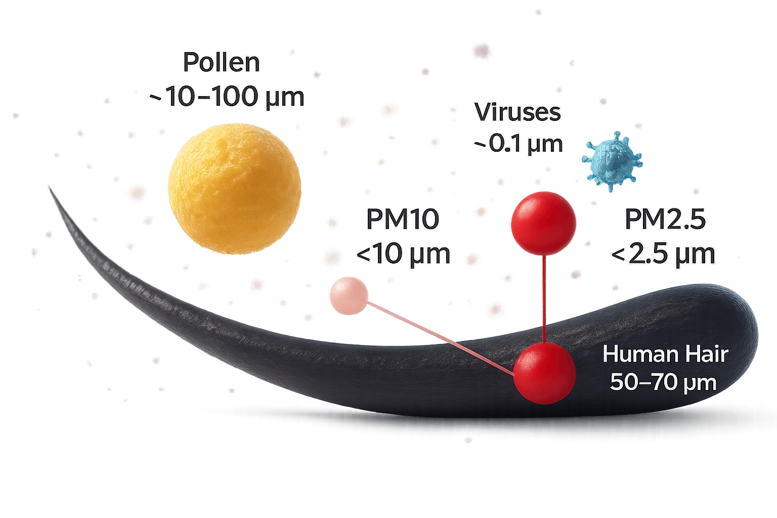 Diagram comparing the size of PM2.5 particles with a human hair and a grain of sand